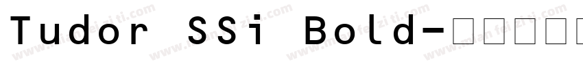 Tudor SSi Bold字体转换